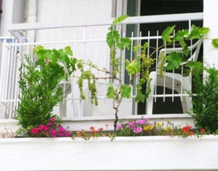 B&B Residence Sorriso Cattolica Exteriér fotografie